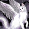 Angel Cat paint by numbers