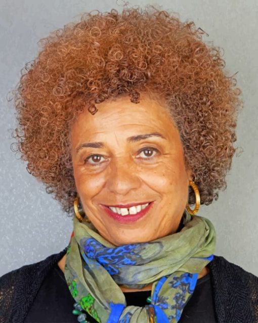 Angela Davis paint by numbers