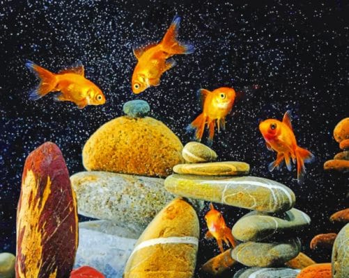 Aquarium Fish paint by numbers