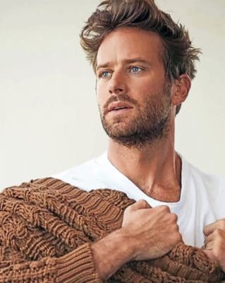 Armie Hammer paint By Number