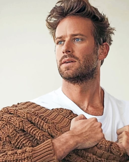Armie Hammer paint By Number