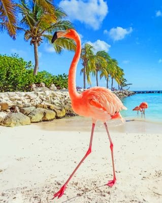 Aruba Flamingo Beach paint by numbers