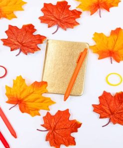 Autumn Leaves And Book Paint by numbers