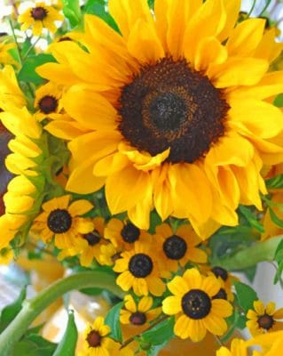 Beautiful Sunflowers paint By numbers