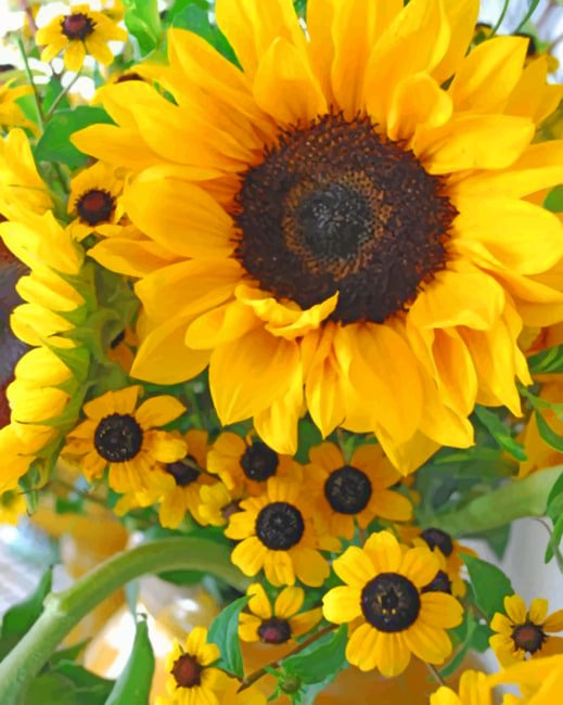 Beautiful Sunflowers paint By numbers
