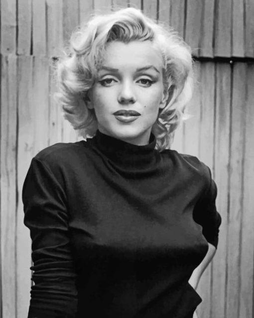 Black And White Marilyn Monroe paint By numbers