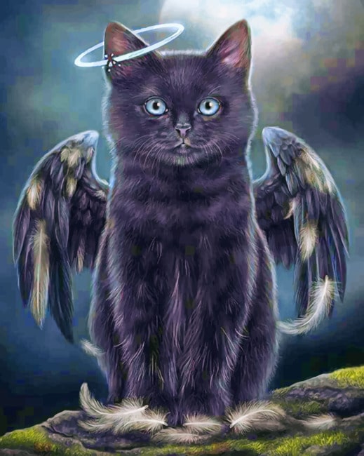 Black Angel Cat paint by numbers