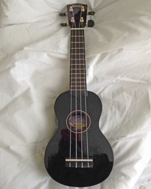Black And White Guitar paint by numbers