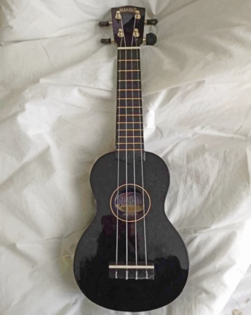 Black And White Guitar paint by numbers