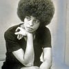 Black And White Angela Davis paint by numbers