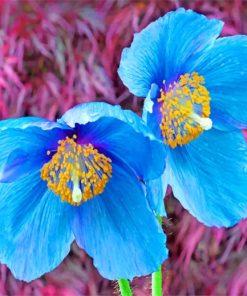 Blue Poppies paint by numbers