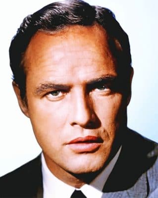 Brando paint by numbers