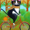 Cat On Bicycle paint by numbers