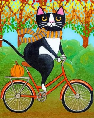 Cat On Bicycle paint by numbers