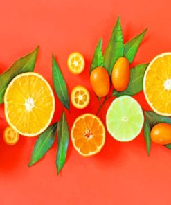 Citrus Fruits paint by numbers