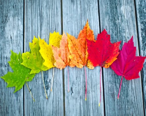 Colorful Autumn Leaves paint by numbers