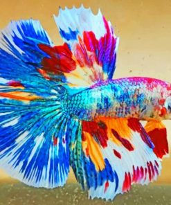 Colorful Betta Fish paint by numbers