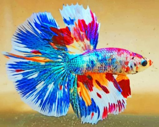 Colorful Betta Fish paint by numbers