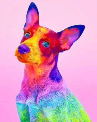 Colorful Dog paint by numbers