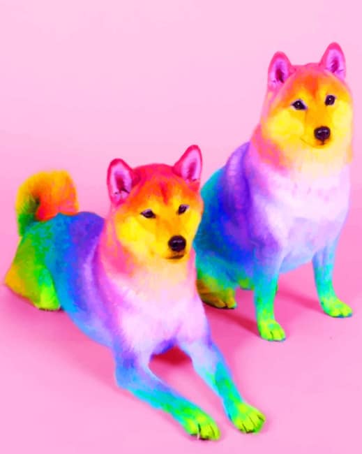 Colorful Huskies paint by numbers