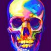 Colorful Skull paint by numbers