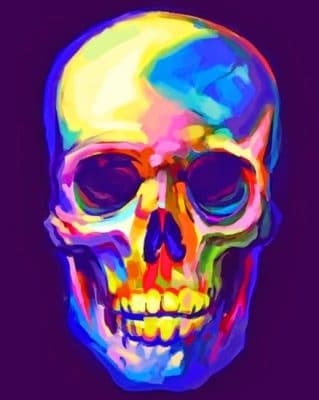 Colorful Skull paint by numbers