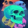 Colorful Skulls paint by numbers