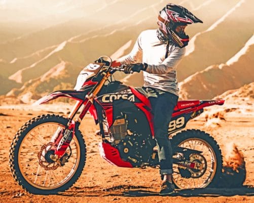 Cross Motorcycle paint by numbers