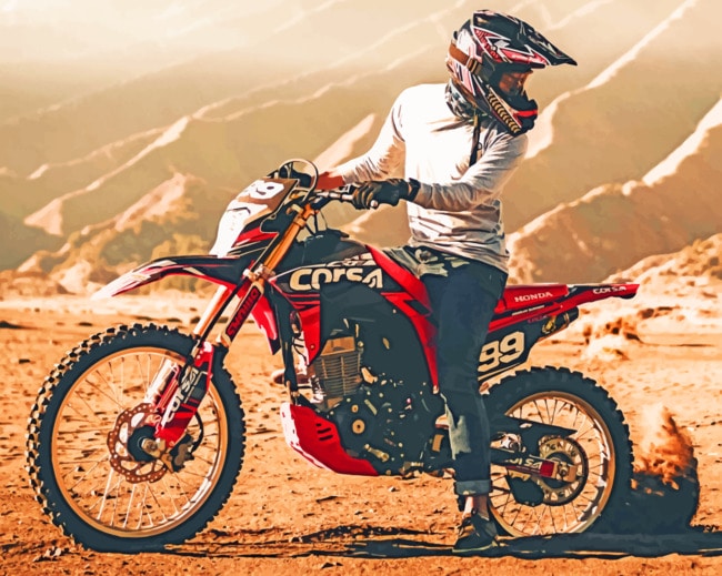 Cross Motorcycle paint by numbers
