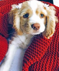 Cute White Puppy paint By Numbers