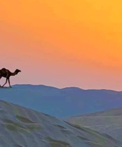 Desert Camel Silhouette paint by numbers