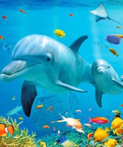 Dolphins And Tropical Fishes Under Sea paint by numbers