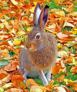 Fall Bunny paint by numbers