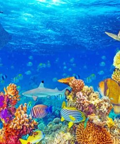 Fishes Under Sea paint by numbers