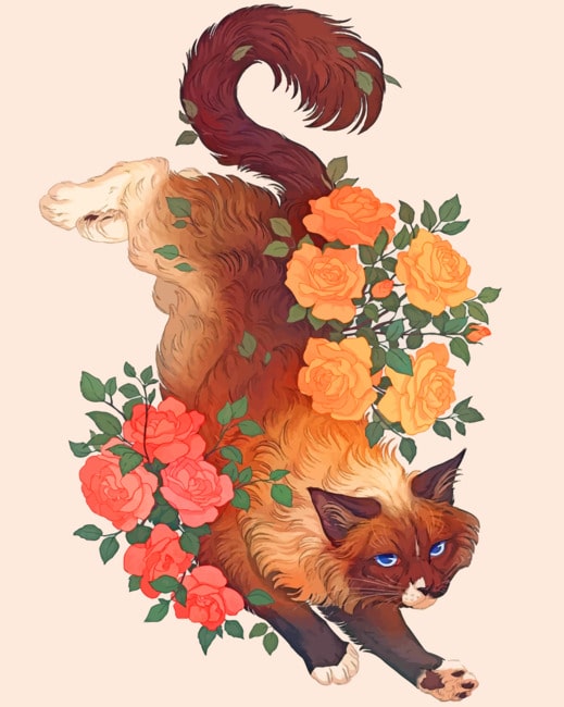 Flowers Cat paint by numbers