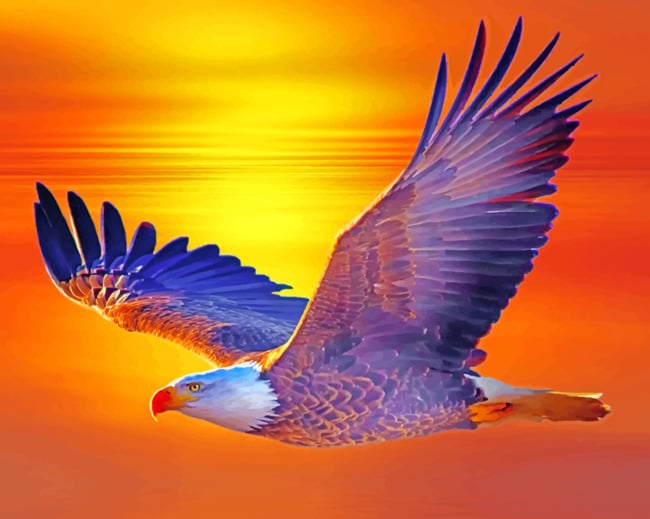 Flying Eagle paint by numbers