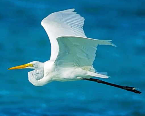 Flying White Bird paint by numbers