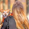 Girl Holding Dog paint by numbers