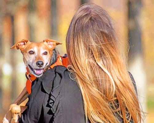 Girl Holding Dog paint by numbers