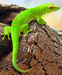 Green Lizards Reptile paint by numbers