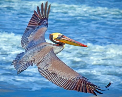 Grey Pelican paint by numbers