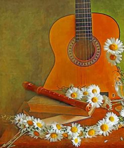 Guitar And Daisies paint by numbers