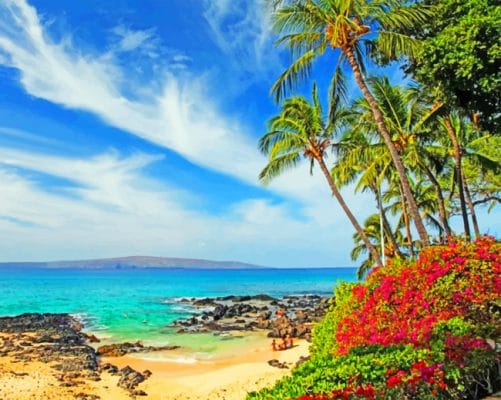 Hawaii Beach paint by numbers