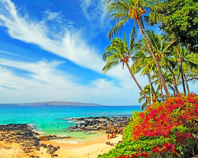 Hawaii Beach paint by numbers