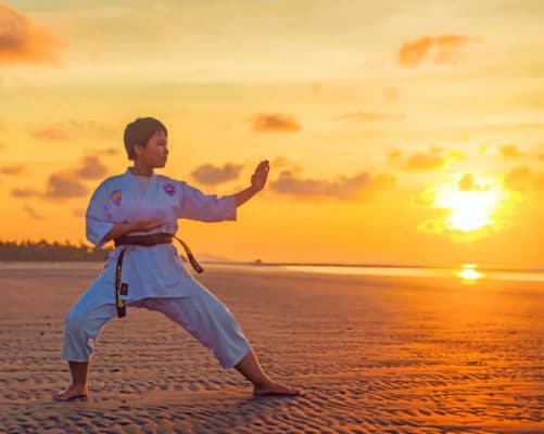 Karate Girl paint by numbers