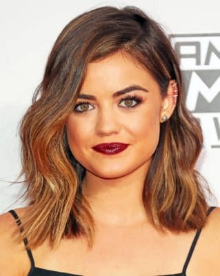 Lucy Hale paint by numbers