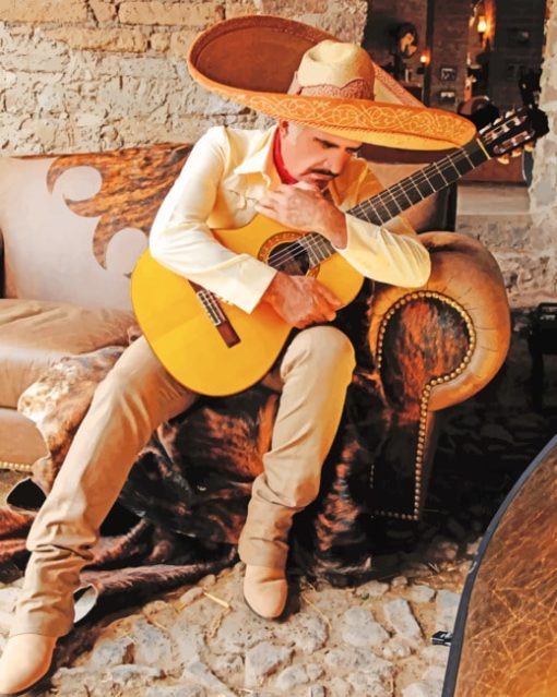 Mexican Guitarist paint by numbers