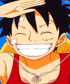 Luffy paint By numbers