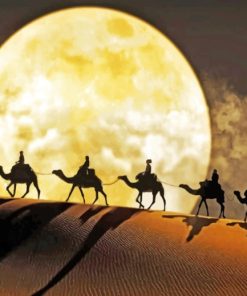 Moon Camel Desert paint by numbers