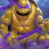 Ninja Turtle paint by numbers